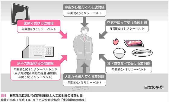 図6:日常生活における自然放射線と人工放射線の種類と量